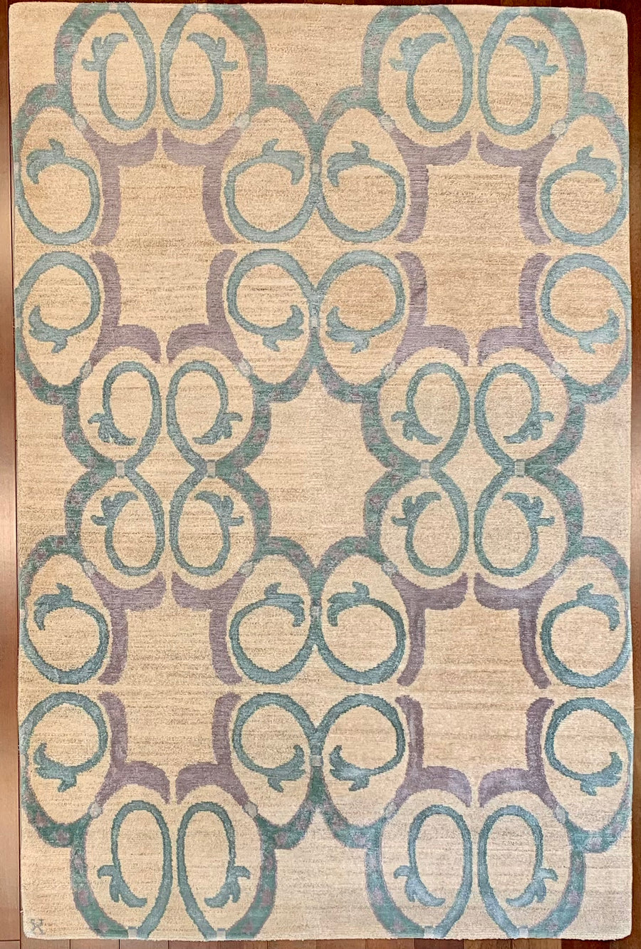 Sale! 4x6 Contemporary Rug From New Moon